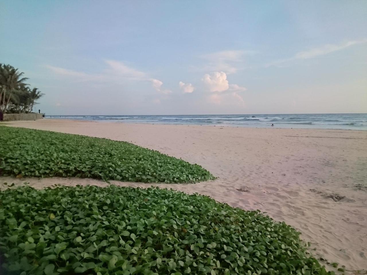 Sun And Surf Rest Hotel อาฮานกามา ภายนอก รูปภาพ